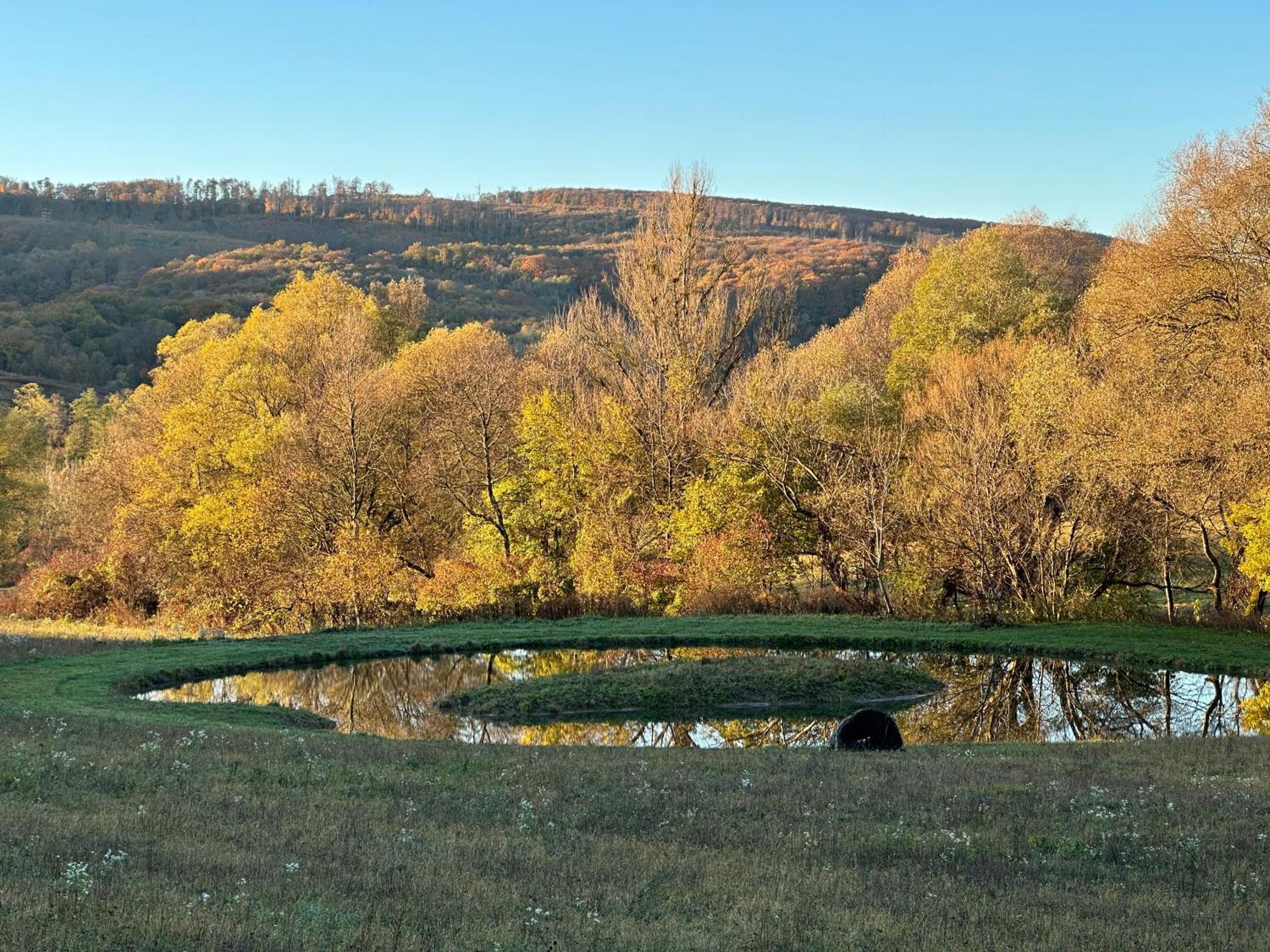 Kingsdale Farm Guest House Jasd Экстерьер фото